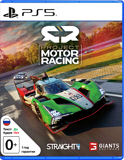 Project Motor Racing