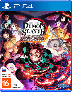 Demon Slayer Kimetsu no Yaiba - The Hinokami Chronicles