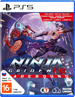 Ninja Gaiden Ragebound