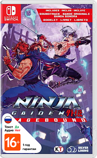 Ninja Gaiden Ragebound