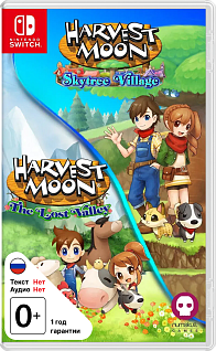 Harvest Moon The Lost Valley + Skytree Village